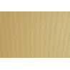 (F42450701) SADIPAL CARTULINA LR 220 TEXTURIZADA 50X70CM PANNA