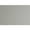 (F42450702) SADIPAL CARTULINA LR 200 TEXTURIZADA 50X70CM PERLA