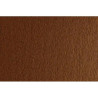 (F42450706) SADIPAL CARTULINA LR 200 TEXTURIZADA 50X70CM MARRONE