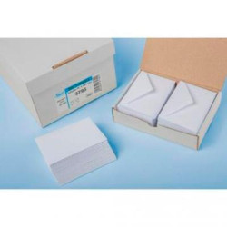 (271304) SAM SOBRE TARJETA DE VISITA OFFSET BLANCO 90 GR. CLASICO ENGOMADO 70X105