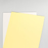 (003R99105) XEROX PAPEL CARBONLESS PREALZADO A4 80GR STRAIGHT 2H 250 JUEGOS (CB BLANCA