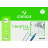 (C200407621) CANSON MINIPACK VEGETAL BASIK 12 HOJAS 21X29