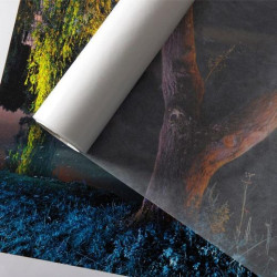 (C201781302) CANSON PAPEL CRISTAL GLASSINE 40GR 60X80 SEMI TRANSPARENTE 50H