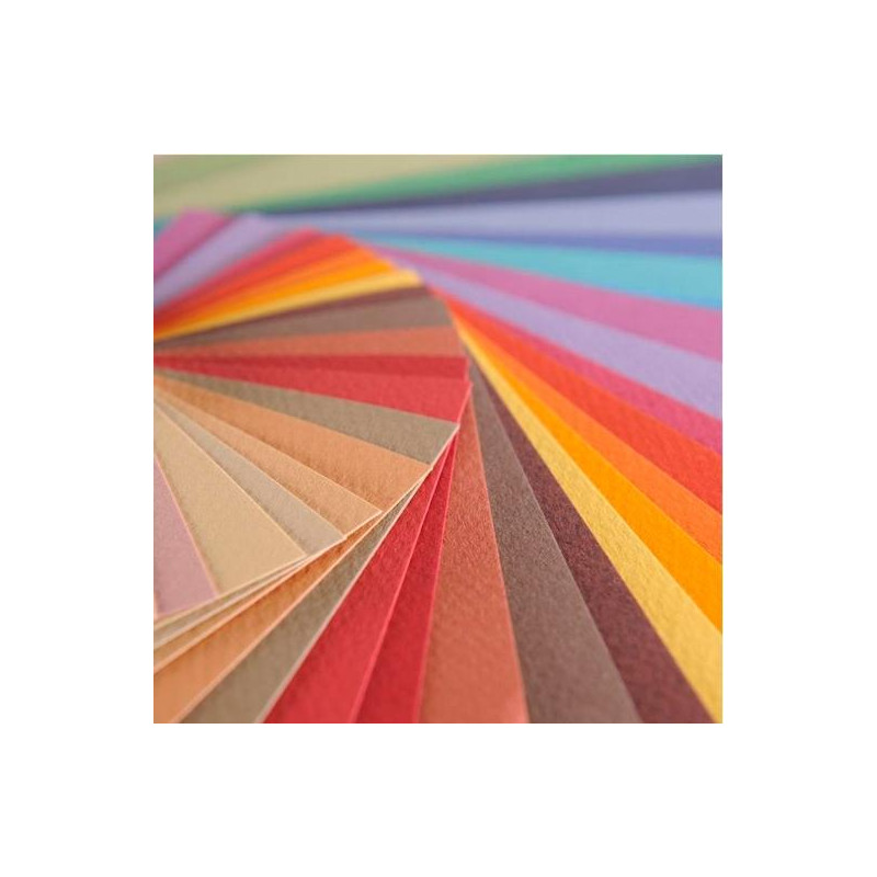 (C31032S090) CANSON PAPEL DE ARTE MI-TEINTES 50X65CM LILA 10 HOJAS (C31032S090) CANSON PAPEL DE ARTE MI-TEINTES 50X65CM LILA 10 HOJAS