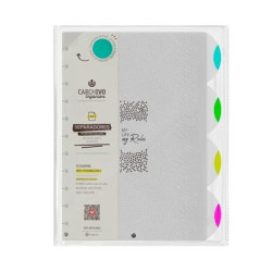 (66114199) CARCHIVO SEPARADORES INGENIOX NEON A4 EXTRAÍBLES 4 POSICIONES PP