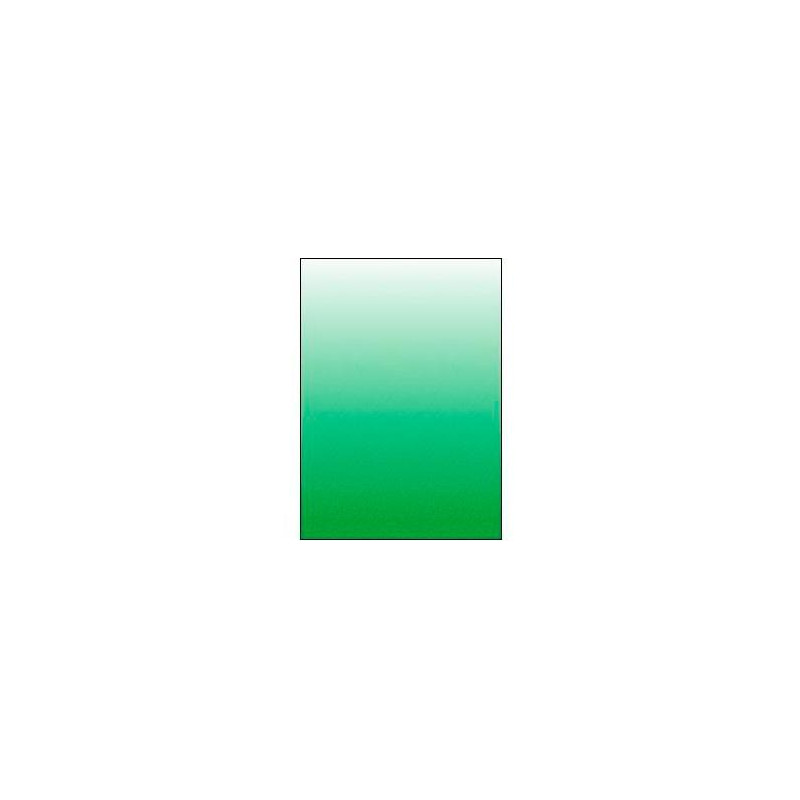 (9045) DISPLAST TAPAS ENCUADERNACIÓN A4 PP 450 MICRAS TRANSLÚCIDO VERDE PAQUETE 100 UD (9045) DISPLAST TAPAS ENCUADERNACIÓN A4 PP 450 MICRAS TRANSLÚCIDO VERDE PAQUETE 100 UD