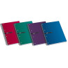 (100435671) ENRI CUADERNO ESPIRAL STATUS MICROPERFORADO 160 HOJAS 5X5 TAPAS EXTRADURAS A4+ COLORES
