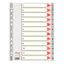 (100106) ESSELTE ÍNDICE NUMÉRICO MULTITALADRO 1-12 POLIPROPILENO A4 GRIS CON CARÁTULA ÍNDICE CARTÓN COLOR