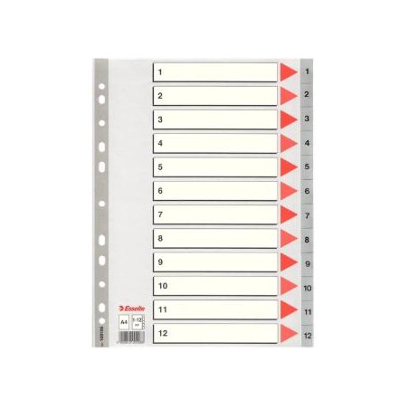 (100106) ESSELTE ÍNDICE NUMÉRICO MULTITALADRO 1-12 POLIPROPILENO A4 GRIS CON CARÁTULA ÍNDICE CARTÓN COLOR