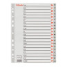 (100112) ESSELTE ABECEDARIO SEPARADOR MULTITALADRO A-Z  POLIPROPILENO A4 GRIS CON CARÁTULA ÍNDICE CARTÓN COLOR