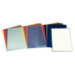 (46015) ESSELTTE DOSSIERS UÑERO PP 110 MICRAS PIEL NARANJA FOLIO TRANSP. -100U-
