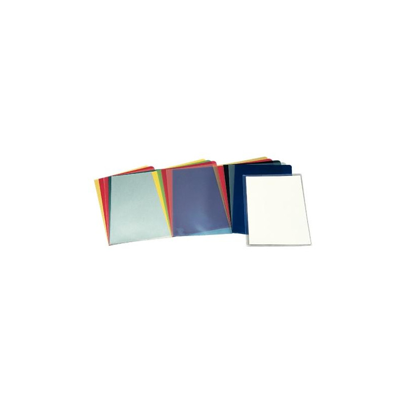 (46015) ESSELTTE DOSSIERS UÑERO PP 110 MICRAS PIEL NARANJA FOLIO TRANSP. -100U- (46015) ESSELTTE DOSSIERS UÑERO PP 110 MICRAS PIEL NARANJA FOLIO TRANSP. -100U-