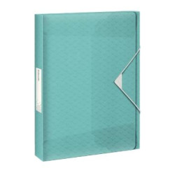 (626264) ESSELTE CARPETA DE PROYECTOS COLOUR´ICE CAPACIDAD ADICIONAL A4 POLIPROPILENO AZUL TRANSLÚCIDO