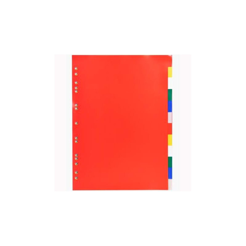 (3012E) EXACOMPTA SEPARADORES 12 POSICIONES A4 PP FLEXIBLE OPACO COLORES NEUTROS (3012E) EXACOMPTA SEPARADORES 12 POSICIONES A4 PP FLEXIBLE OPACO COLORES NEUTROS