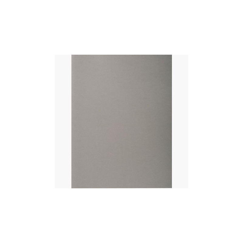(410009E) EXACOMPTA SUBCARPETAS A4 FOREVER COLOR GRIS 220GR -100U- (410009E) EXACOMPTA SUBCARPETAS A4 FOREVER COLOR GRIS 220GR -100U-