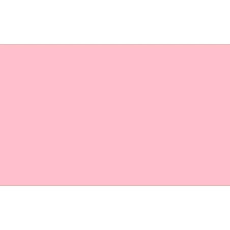 (A4EB20) FAMA GOMA EVA A4 GROSOR 2MM EB20 ROSA CAJA 10 UD