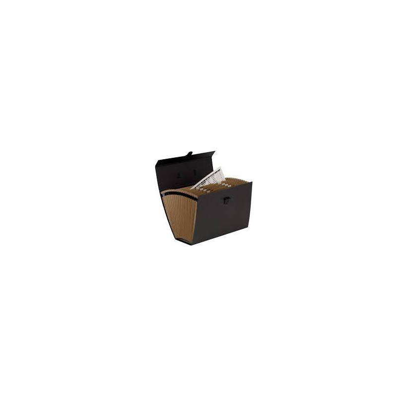 (9352101) FELLOWES MALETÍN CLASIFICADOR ACORDEÓN NEGRO (9352101) FELLOWES MALETÍN CLASIFICADOR ACORDEÓN NEGRO