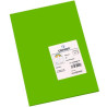 (C200040172) IRIS CARTULINA 210X297MM 185GR VERDE BILLAR -50U-