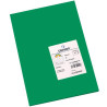 (C200040173) IRIS CARTULINA 210X297MM 185GR VERDE ABETO -50U-