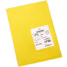 (C200040183) IRIS CARTULINA 297X420MM 185GR AMARILLO CANARIO -50U-