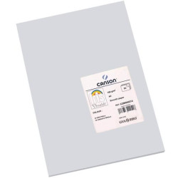 (C200040214) IRIS CARTULINA 297X420MM 185GR GRIS PERLA -50U-