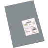 (C200040215) IRIS CARTULINA 297X420MM 185GR GRIS PLOMO -50U-