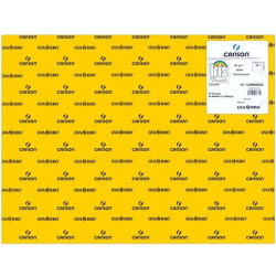 (C200040222) IRIS CARTULINA 50X65CM 185GR GUALDA -25U-