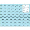 (C200040232) IRIS CARTULINA 50X65CM 185GR AZUL CIELO -25U-