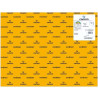 (C200040241) IRIS CARTULINA 50X65CM 185GR CUERO -25U-