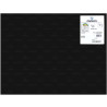 (C200040391) IRIS CARTULINA 50X65CM 240GR NEGRO -25U-