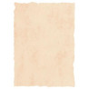 (2601229) MICHEL PERGAMINO TROQUELADO 200GR A4 PACK 25U BEIGE