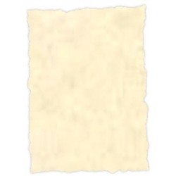 (2604229) MICHEL PERGAMINO TROQUELADO 150GR A4 PACK 25U TOPACIO