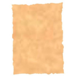 (2605229) MICHEL PERGAMINO TROQUELADO 150GR A4 PACK 25U OCRE
