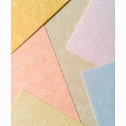 (9916229) MICHEL PAPEL PARCHMENT 180GR A4 PACK 100U PERGAMINO