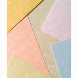 (9918229) MICHEL PAPEL PARCHMENT 180GR A4 PACK 100U BLANCO