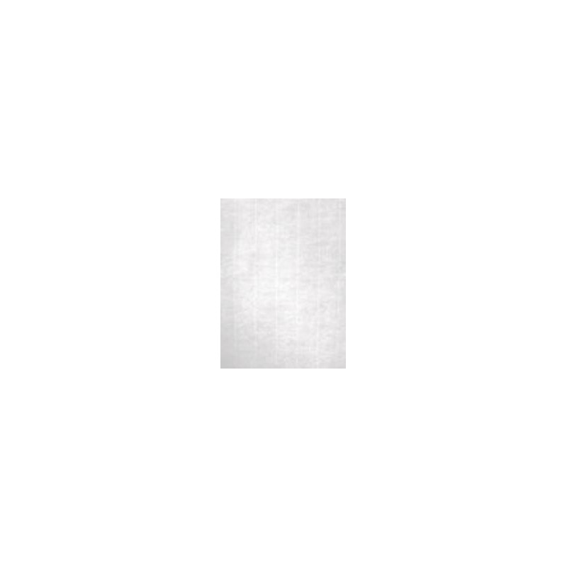 (12369) APLI PAPEL TEXTURA VERJURADO CREMA 100 GR. TAMAÑO A4 - 100 HOJAS - (12369) APLI PAPEL TEXTURA VERJURADO CREMA 100 GR. TAMAÑO A4 - 100 HOJAS -