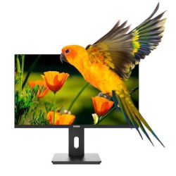 (NXM24REG02) NILOX MONITOR DESKTOP VA LED 24"  FHD