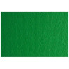 (F42450711) SADIPAL CARTULINA LR 200 TEXTURIZADA 50X70CM VERDE