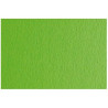(F42450710) SADIPAL CARTULINA LR 200 TEXTURIZADA 50X70CM VERDE PISELLO