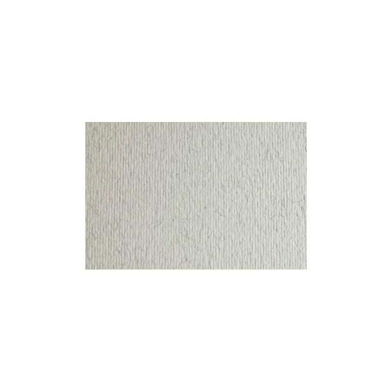 (F42450729) SADIPAL CARTULINA LR 220 TEXTURIZADA 50X70CM BRINA ESCARCHA