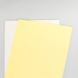 (003R99105) XEROX PAPEL CARBONLESS PREALZADO A4 80GR STRAIGHT 2H 250 JUEGOS (CB BLANCA