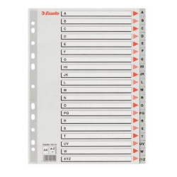 (100112) ESSELTE ABECEDARIO SEPARADOR MULTITALADRO A-Z  POLIPROPILENO A4 GRIS CON CARÁTULA ÍNDICE CARTÓN COLOR