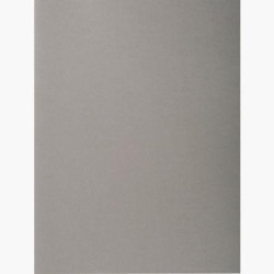 (410009E) EXACOMPTA SUBCARPETAS A4 FOREVER COLOR GRIS 220GR -100U-
