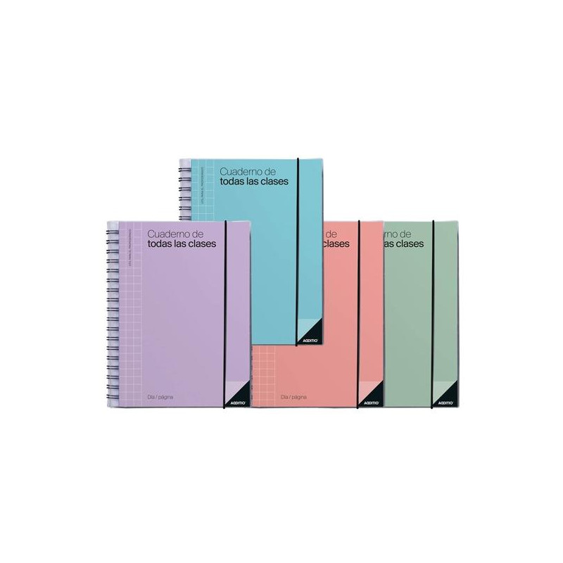 (P232) ADDITIO CUADERNO DE TODAS LAS CLASES PARA EL PROFESORADO D/P ESPIRAL DOBLE 256 PÁGINAS PVC C/SURTIDOS