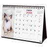 (780323826) FINOCAM CALENDARIO DE SOBREMESA PARA ESCRIBIR S-210X150MM MV IMÁGENES GATITOS 2026
