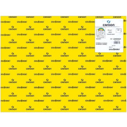 (C200040221) IRIS CARTULINA 50X65CM 185GR AMARILLO CANARIO -25U-