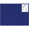 (C200040235) IRIS CARTULINA 50X65CM 185GR AZUL ULTRAMAR -25U-