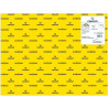 (C200403809) IRIS CARTULINA 50X65CM 250GR AMARILLO FLUOR -25U-
