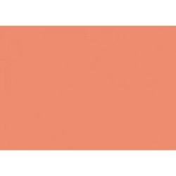 (C32127S014) IRIS CARTULINA 297X420MM 185GR CORAL -50U-