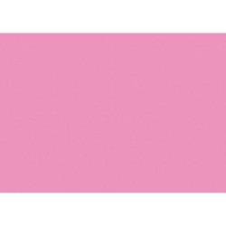 (C32127S015) IRIS CARTULINA 297X420MM 185GR ROSA CHICLE -50U-